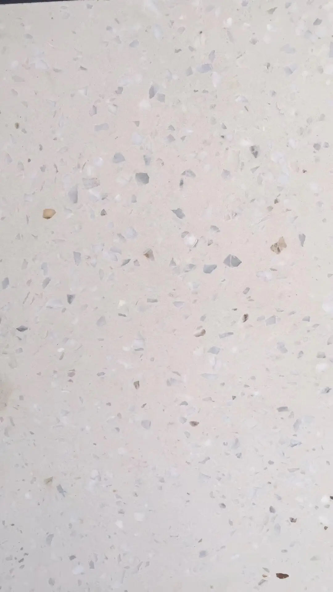 Cement Terrazzo