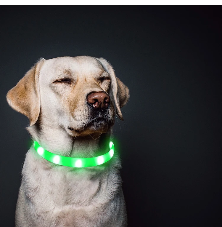 China Supplier LED Flashing Training Glow Dog Collar