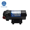 Micro Sisan 24v Water Filter High Pressure Psi Diaphragm Syrup Pump Impeller Filling Machine