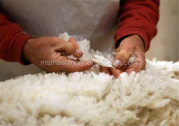 wool12.png