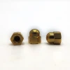 Chinese Manufacturer Brass Copper Hex Domed Screw End Cap Nut