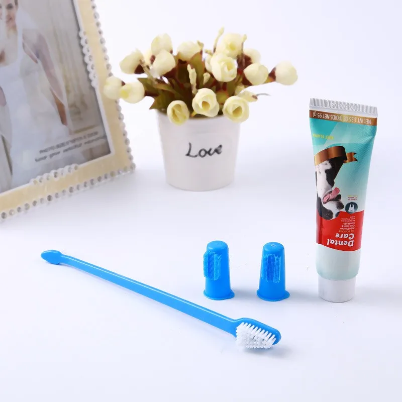 Pet Dog Toothbrush Sets With Toothpaste Inside Buy Dog Toothbrush