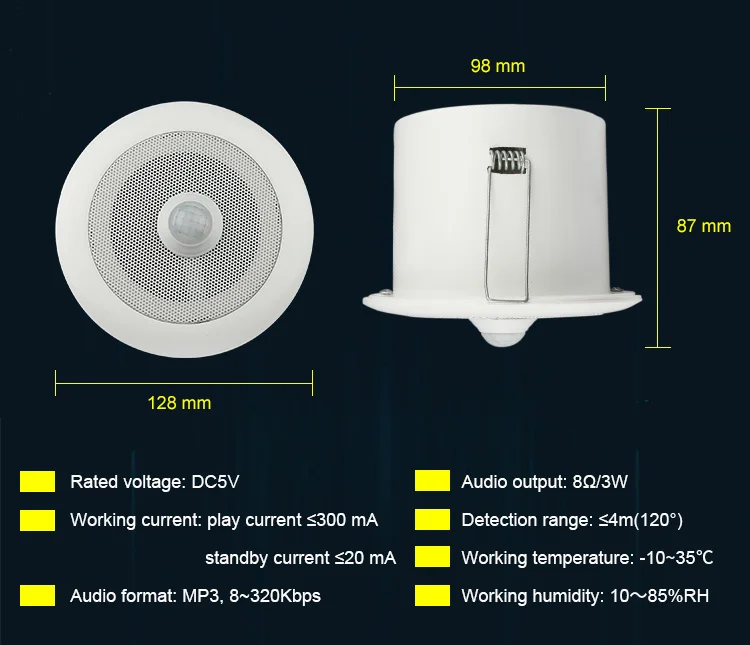 in-ceiling-speaker-(3)