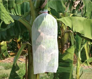 PP Spunbond Nonwoven Banana Bag/ Protective Bag for Banana