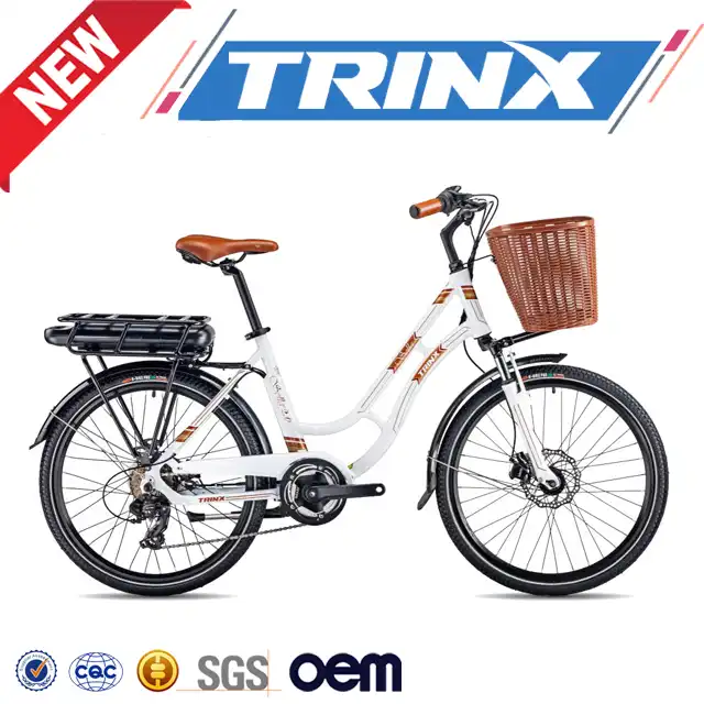 trinx e bike