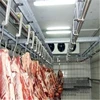 Chinese product sales of high-performance practical meat cold storage