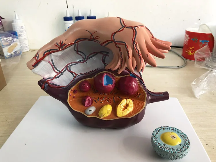 QQ20190122093907 .jpg