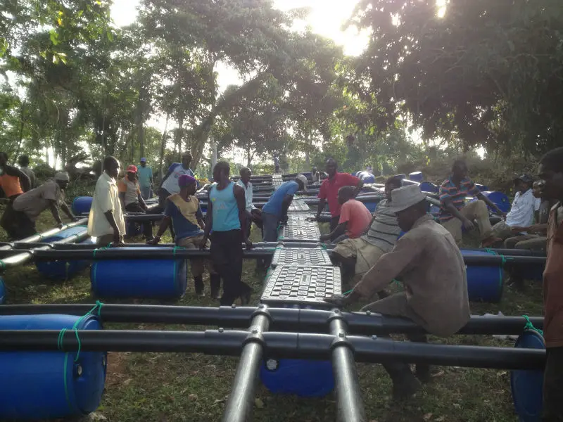 Easy Operation Tilapia Fish Farming Cage Buy Fish Farming Cage,Aquaculture Fish Farming Cages