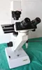 Will Wetzlar Wilovert Inverted Microscope