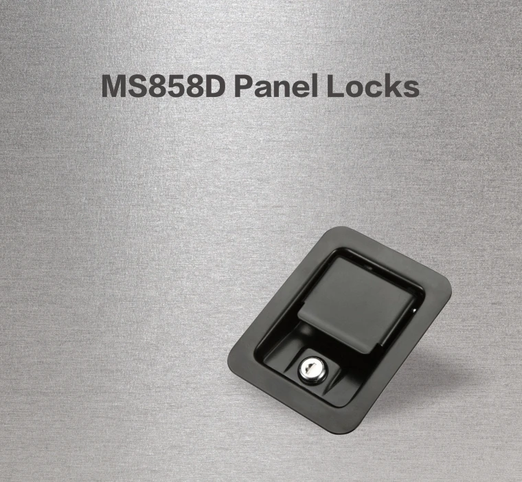 MS858D-1.jpg