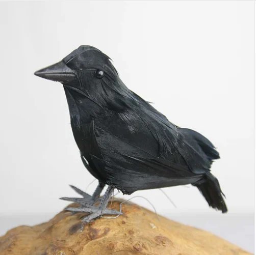 crow-1
