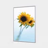 Wall mounted AF80 slim advertising light box with backlit a3 aluminium frame