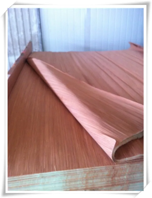 gurjan wood face veneer/ keruing face veneer /plywood manufacturers