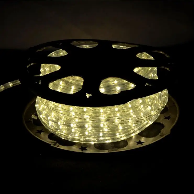 pre cut led rope light 120v 2wire 38 in.