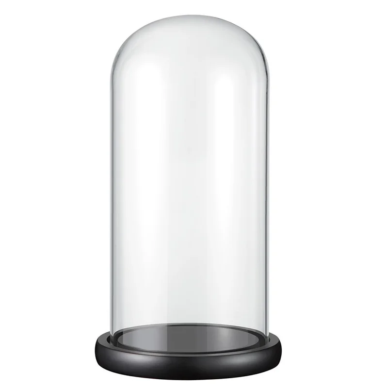 glass dome with black base.jpg