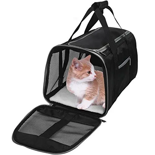 iata approved cat carrier