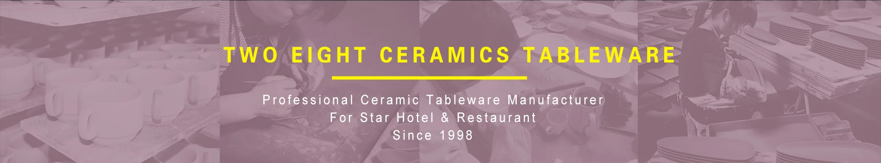 2TWS1P ceramic dinnerware