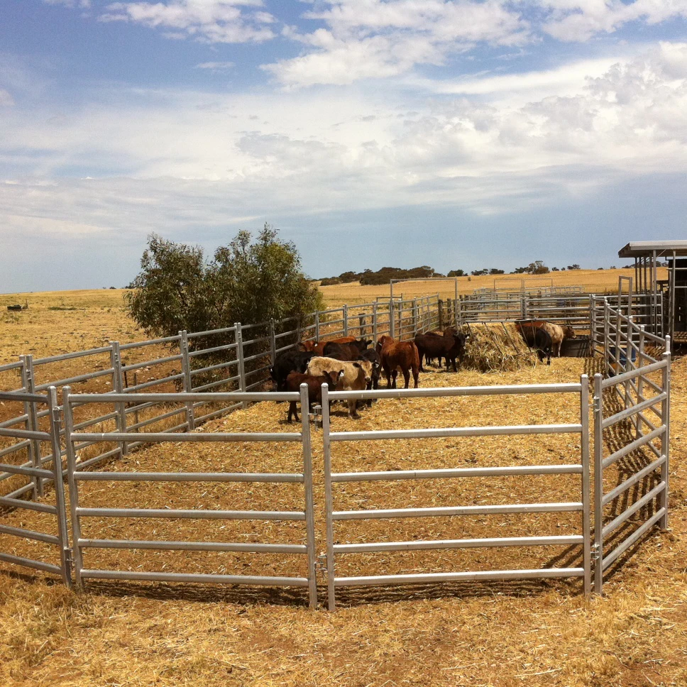 25 Panel+1 Gate Round Yard 17m Diameter Cattle Panels Fleet Farm - Buy ...