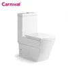 Europe standard china supplier elongated toilet bowl one piece dual flush type of water clost A379