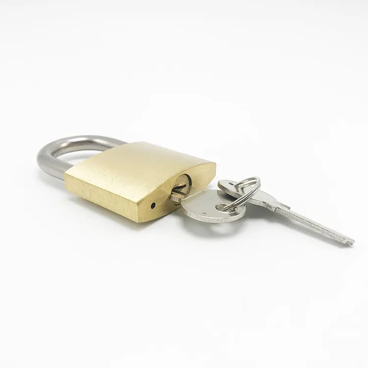 High Security Custom Small Pad Lock Combination Hardened Brass Padlock 30mm Buy Padlock