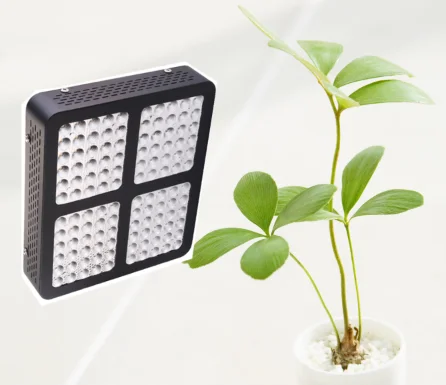solar led grow lights