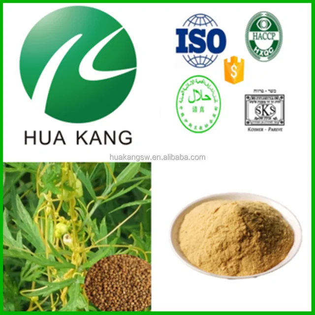 dodder parasitic plant,parasitic plants dodder,dodder plant