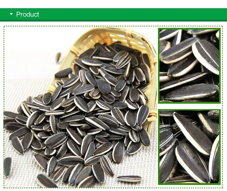 Wholesale Inner Mongolia Premium Quality Organic Bulk Large Sunflower