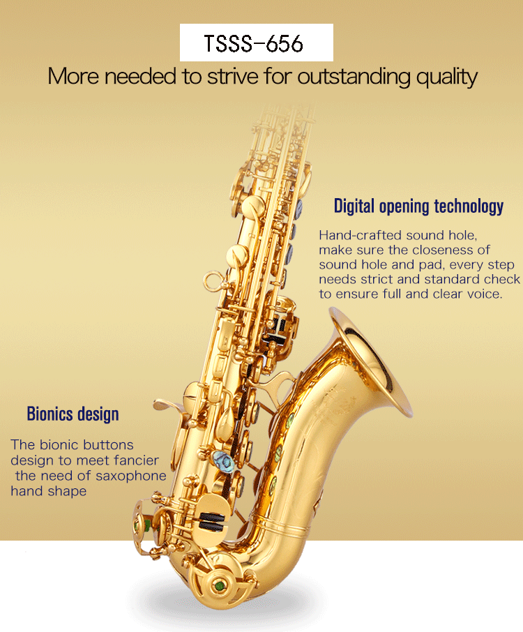 Saxophone Professionnel Taishan Mini Soprano,Incurvé,Tsss656 Buy