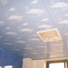 Quality Assured New Style Film Coated Blue Colour 3d Ceiling Tiles