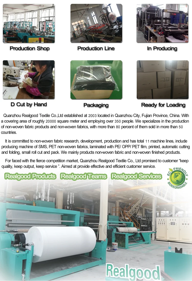 Cheap reusable non-woven die pp eco-friendly d cut non woven tote bag factory