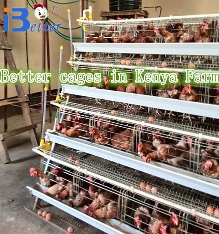 Better Factory Supply 2017 New Design Chicken Cages For Kenya Farm