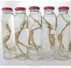 Pure dried roots ginseng effectiveness for common people,different specs on sale