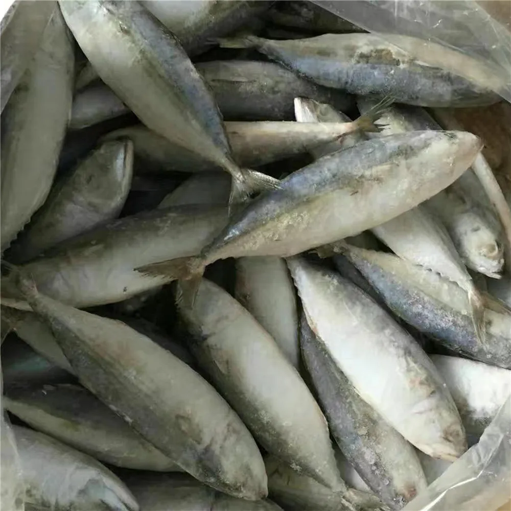 live fish suppliers near me