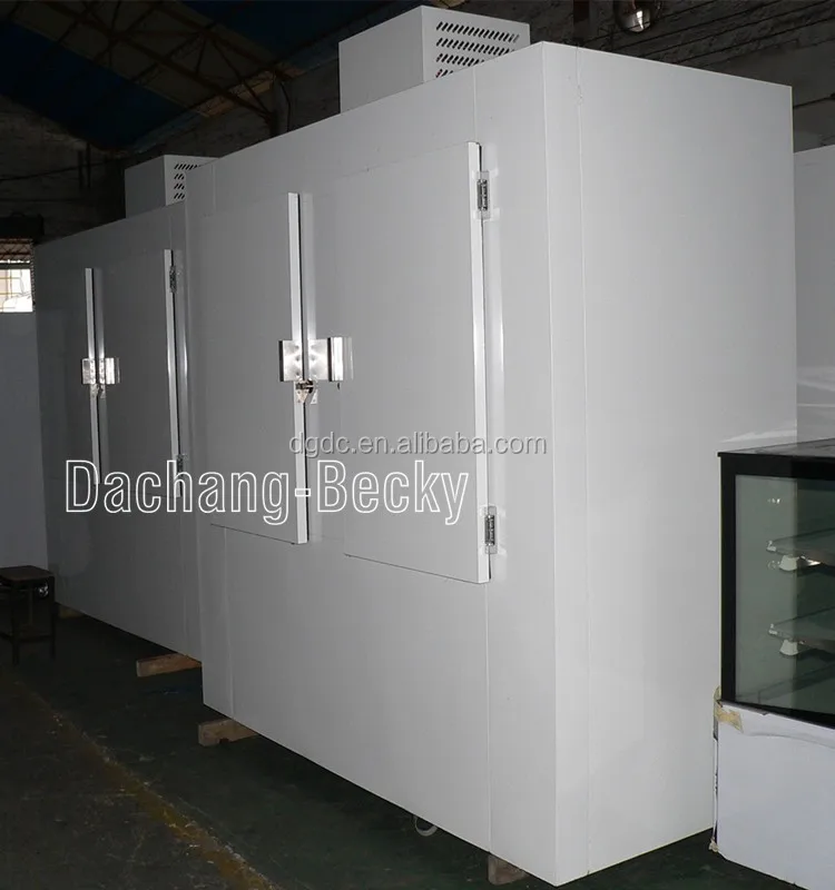 large ice merchandiser-DC image.jpg