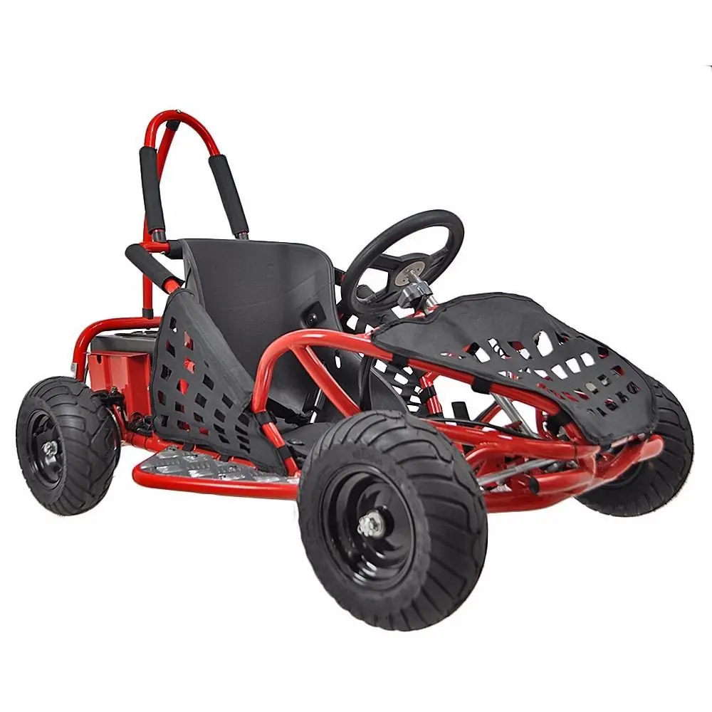 1000 watt go kart