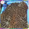 Raw Hair Sources Kiss Weave Cambodian Deep rich Curly Romance Curls Extension Bundles Wholesale Quantity 10A