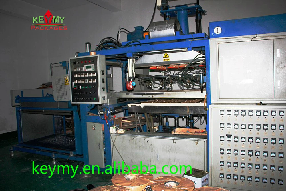 Wholesale Disposable Ecofriendly Customize Plastic Clear Food Tray