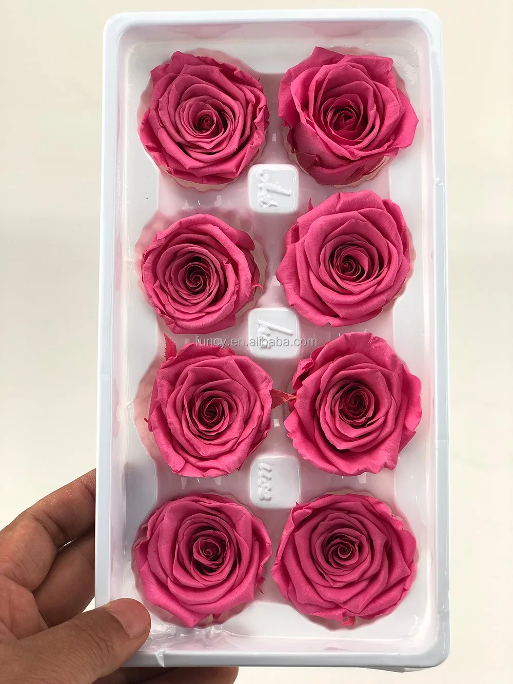Beautiful Preserved Rose Flower 45cm A Grade Stabilized Rose Preserved Long Lasting Eternal