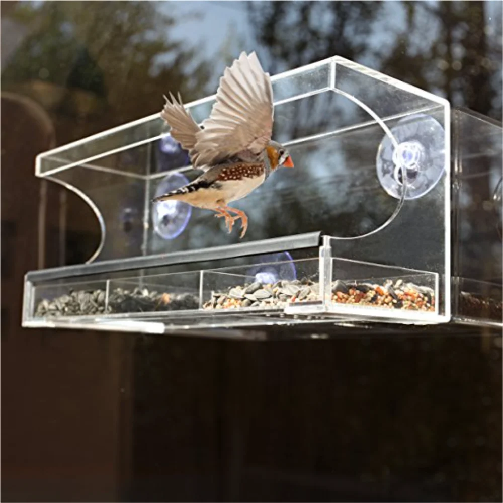 Кормушка для птиц под окном. Кормушка для птиц прозрачная. Стеклянная кормушка для птиц. Кормушка для птиц пластиковая. Кормушка из оргстекла.