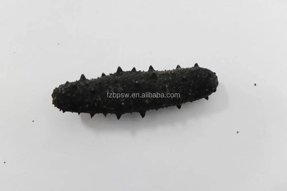 100 Natural Black Sea Cucumbers/good Stichopus/sea Cucumber Price