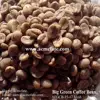 GMO arabica coffee bean price