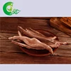 Natural organic dried lingzhi slice ganoderma lucidum