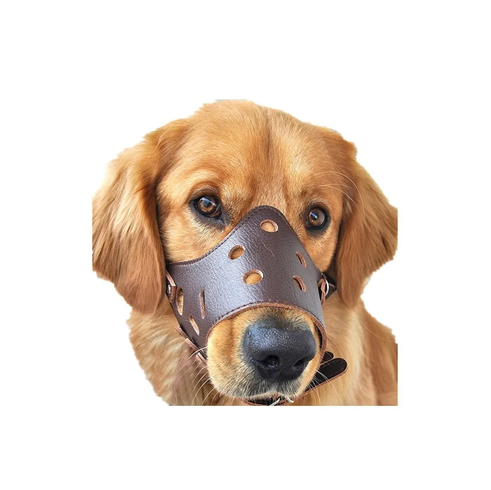 dog muzzle leather.jpg