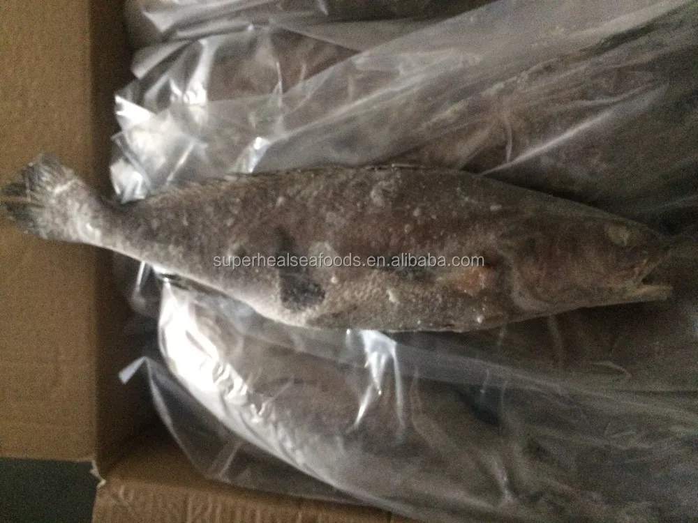 Iqf/iwp Brown Croaker Fish Frozen Fish Buy Frozen Tilapia,Tilapia