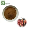 Natural plant pure ganoderma lucidum extract polysaccharide, high quality reishi mushroom extract powder