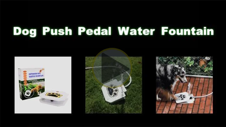 Outdoor Paw Pet Bird Automatic Water Feeders Dog Food Container