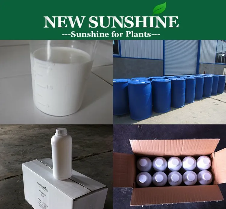 Paclobutrazol 25% SC.jpg