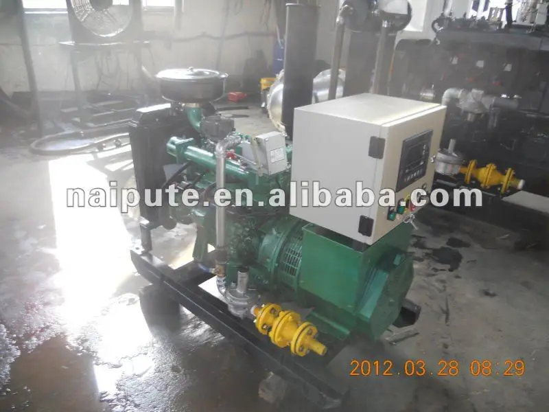 Gas Generator Set (open Type / Canopy Type,15kw,Natural Gas/biogas/lpg