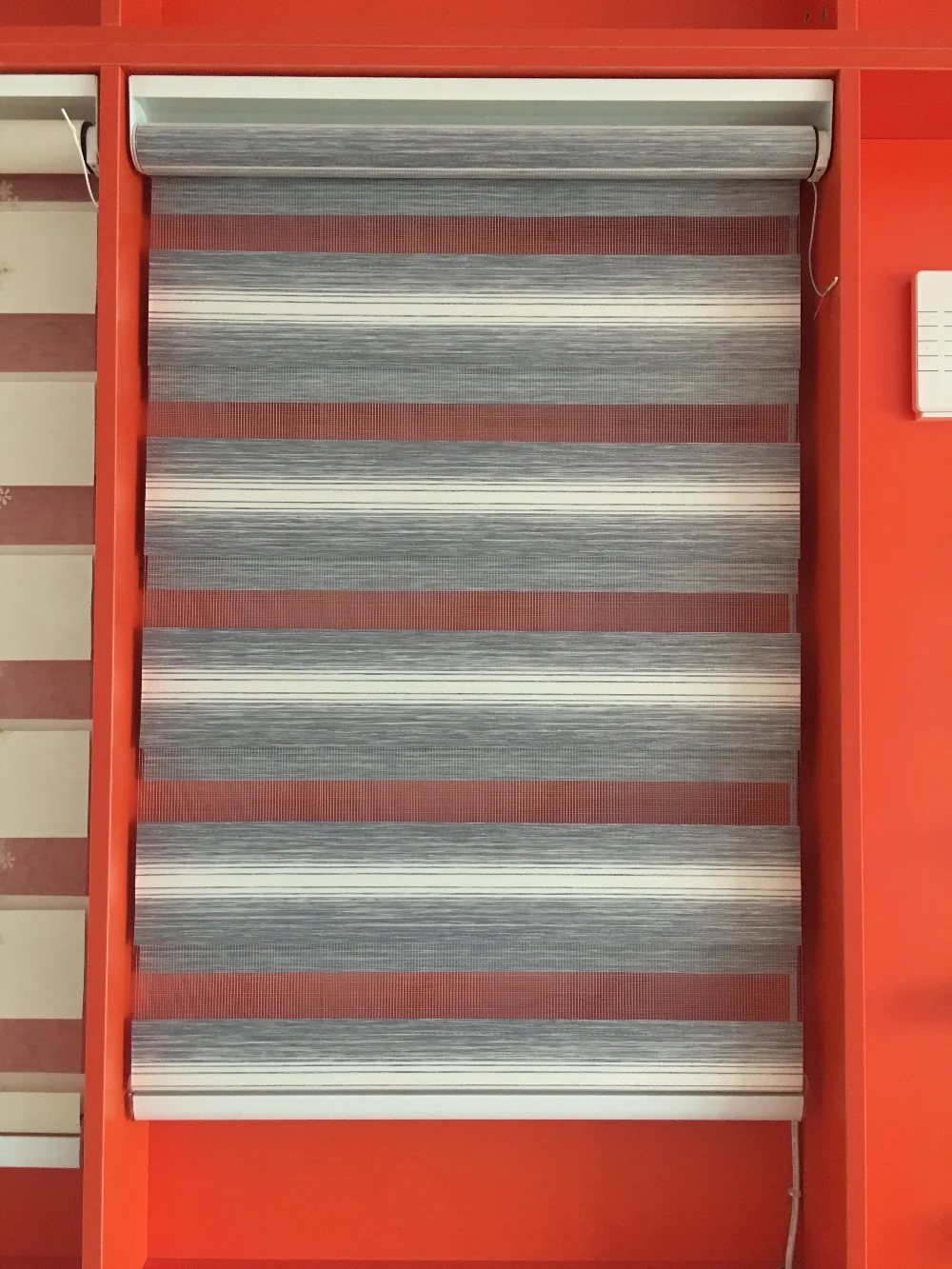 zebra print window blinds