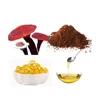 SCFE-CO2 Extraction ganoderma lucidum spore oil softgel capsule